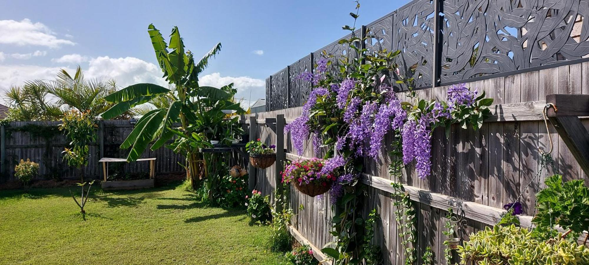 Entire House Near North Lakes, Brisbane, Australia Griffin Buitenkant foto